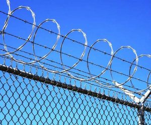 Galvanized Razor Wire | Concertina Blade Wire | China Supplier Full Size