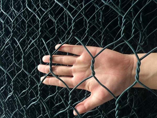 Lowest Price China Direct Factory PVC Coated Hexagonal Wire Mesh Green Plastic  Chicken Wire Mesh - China Fence, Wire Mesh