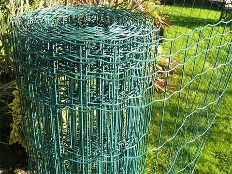 PVC Coated Galvanized Wire Mesh