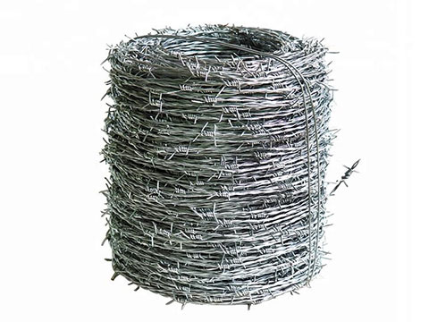 Galvanized Barbed Wire