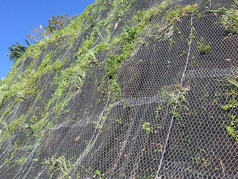 Rock Netting Slope Protection