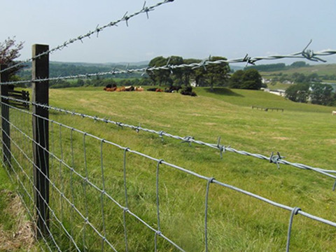 Полевой забор для крупного рогатого скота