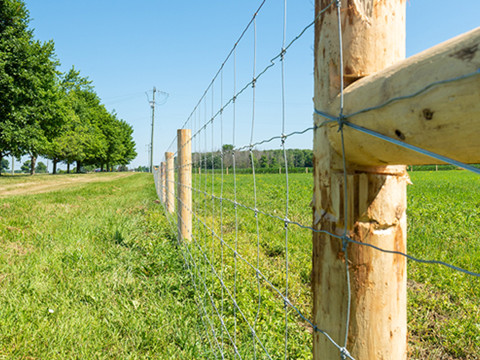 Field Fencing for Pasture