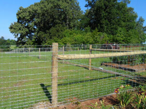 Cattle Wire Fencing | Durable & Versatile