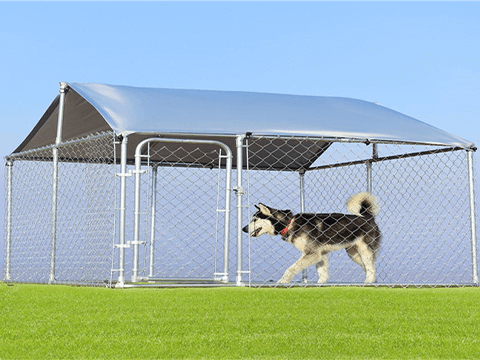 galvanized dog kennel