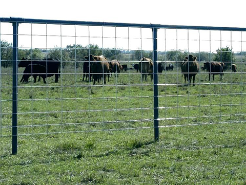 stockade panels fence