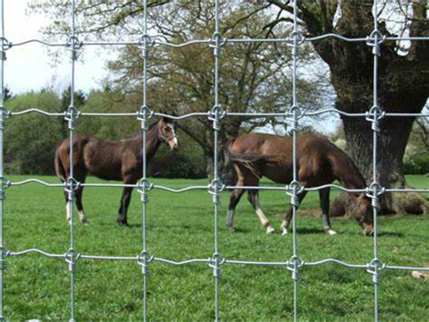 horse netting