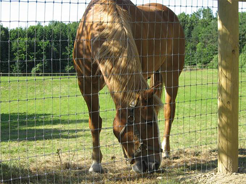 horse panels