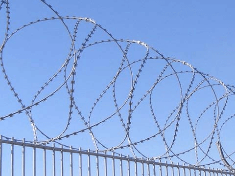 concertina fence