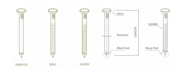 Different nail structures
