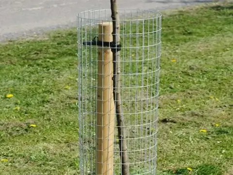 Sapling protection net