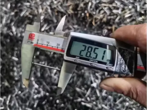 Shank length measurement
