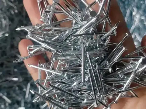 galvanized common nail