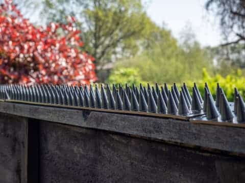 metal garden spikes