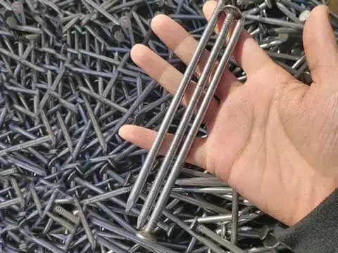 stainless steel common nail