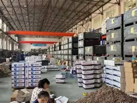 Chinese galvanized common nail manufacturer