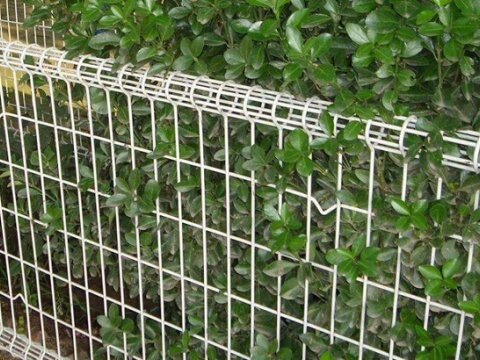 double loop garden fence