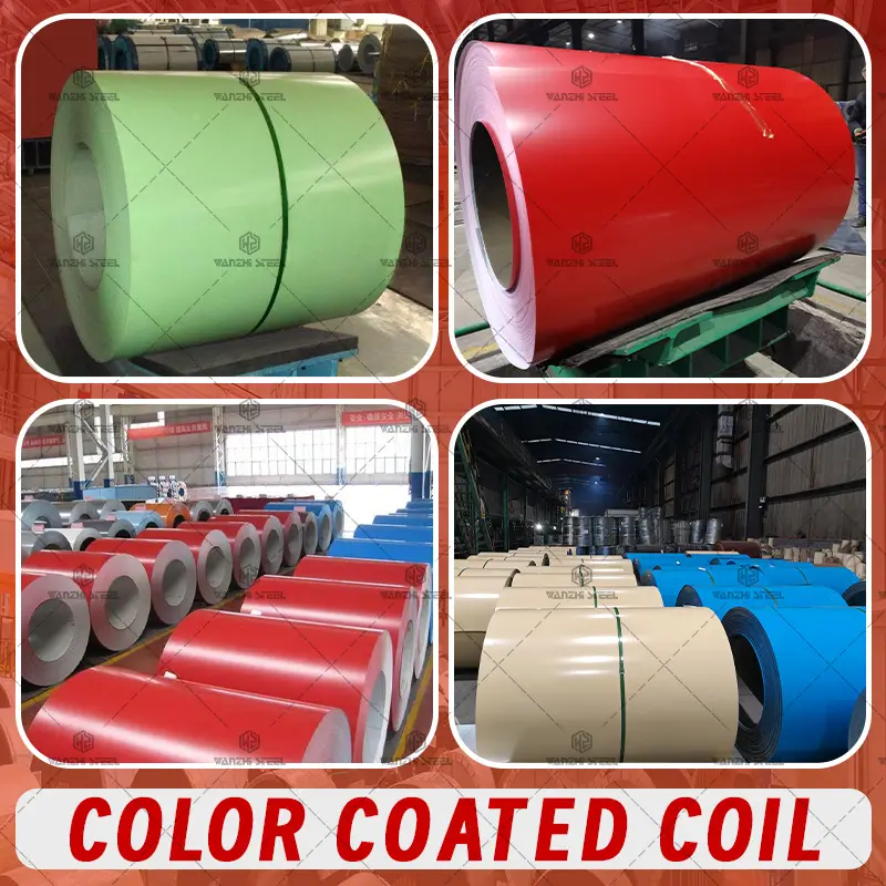 color caoated gi coil sheet