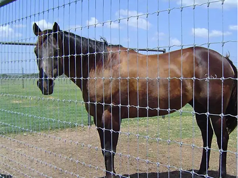Permanent Wild Hinged Game fence