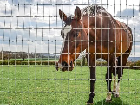 Woven Square Hole Horse Farm Fence