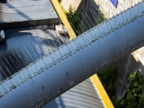 Application on chemical pipelines