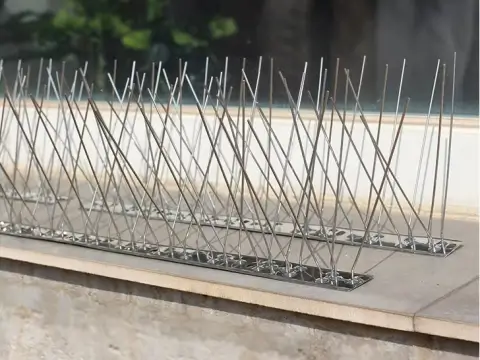Bird-proof spikes on windowsills