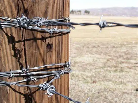 Fence U shape Nails