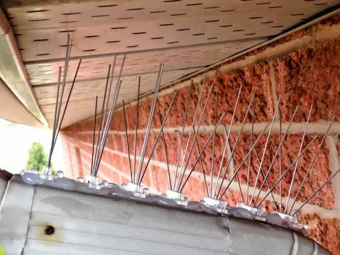 Prevent nesting under the eaves