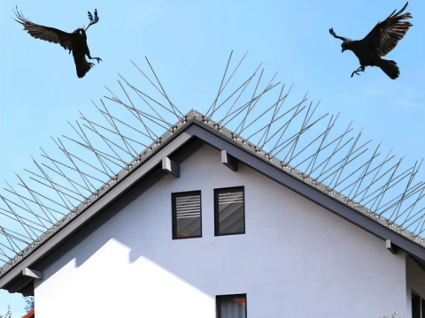 Roof applications