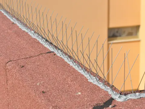 Use around the roof