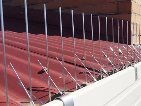 Used to prevent bird droppings on roofs