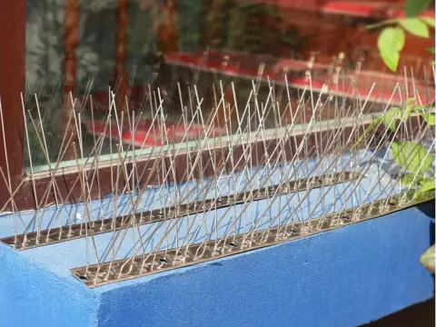 Window sill bird protection spikes