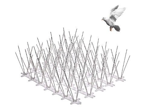 pigeon proofing spikes