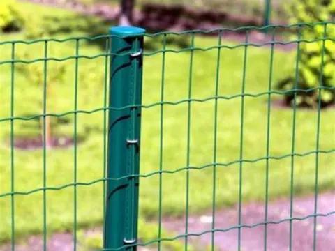 Garden Fence