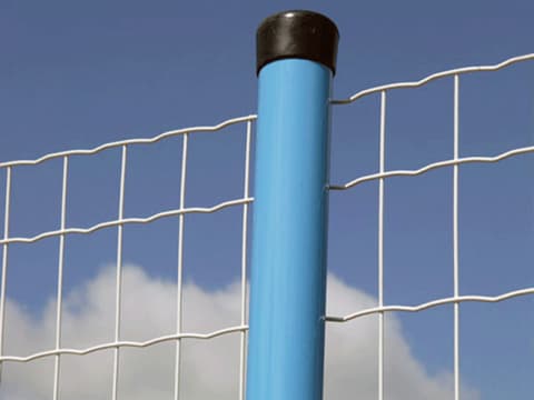 White holland mesh fence