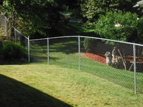 Chain Link Lawn Fence