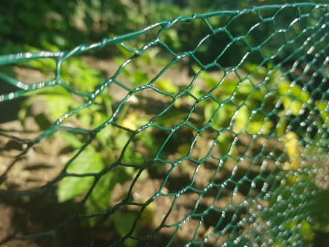 Green Farm Poultry Hexagonal Wire Mesh