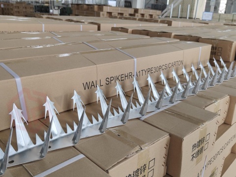 Decorative Anti Climb Stainless Steel Wall Spike