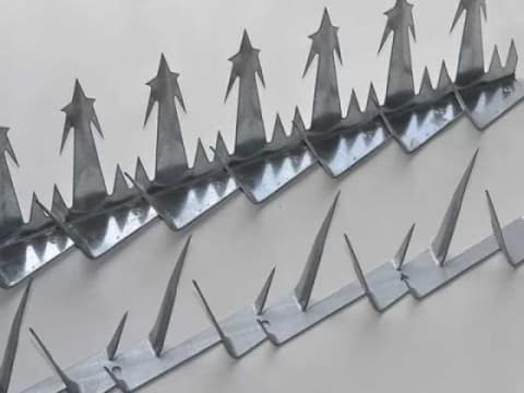 Fences Top Spikes Razor Wire Type