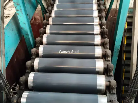 Organic paint roller