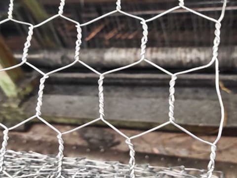 1 4 inch chicken wire