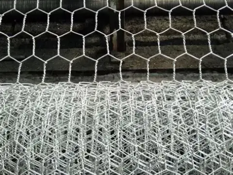 19 gauge chicken wire