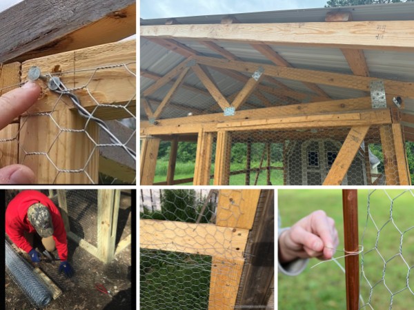 Install chicken wire