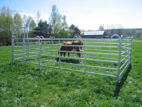 corral panels for sale