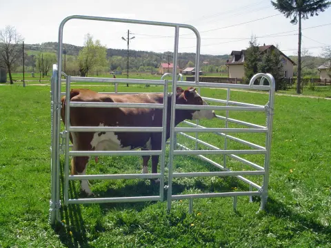 cow panels for sale