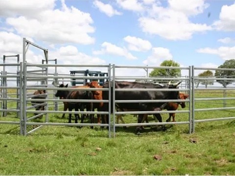 heavy duty corral panels