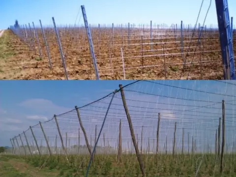 Client Project Real Scene