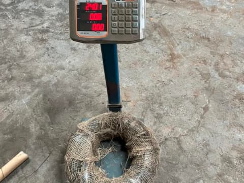 roll weight measurement