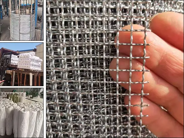 Galvanized Crimped Wire Mesh Factory